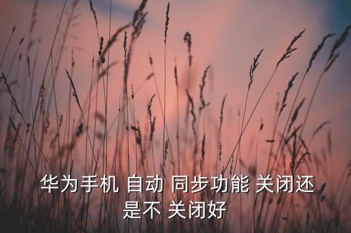  華為手機(jī) 自動(dòng) 同步功能 關(guān)閉還是不 關(guān)閉好