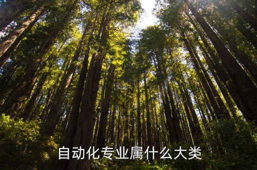  自動(dòng)化專業(yè)屬什么大類