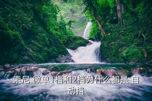 微單自動擋是哪個位置,汽車知多少!