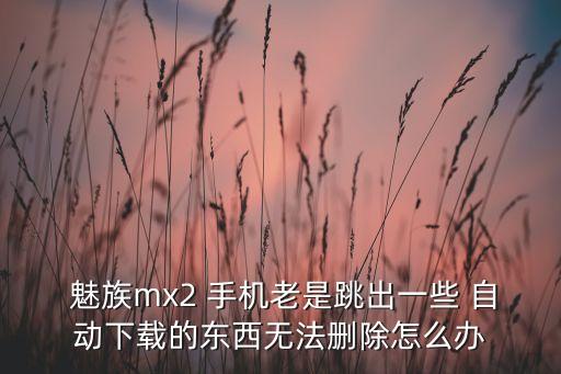  魅族mx2 手機(jī)老是跳出一些 自動(dòng)下載的東西無(wú)法刪除怎么辦