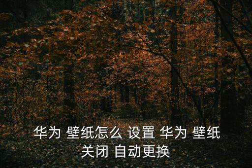 華為壁紙自動(dòng)換怎么設(shè)置