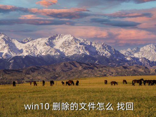 win10自動刪除找回,我不小心誤刪文件放入回收站!