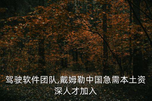 自動駕駛軟件團(tuán)隊,戴姆勒中國急需本土資深人才加入
