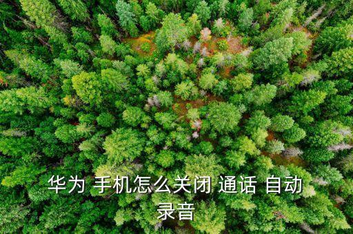  華為 手機(jī)怎么關(guān)閉 通話 自動(dòng) 錄音