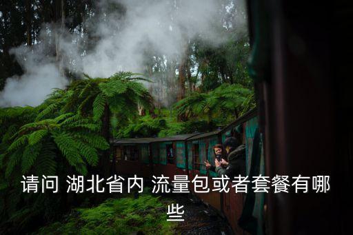 請(qǐng)問 湖北省內(nèi) 流量包或者套餐有哪些