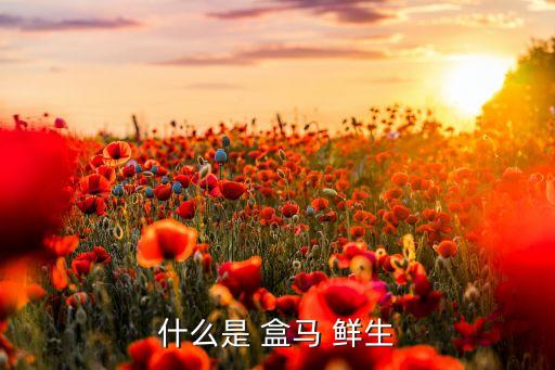 什么是 盒馬 鮮生
