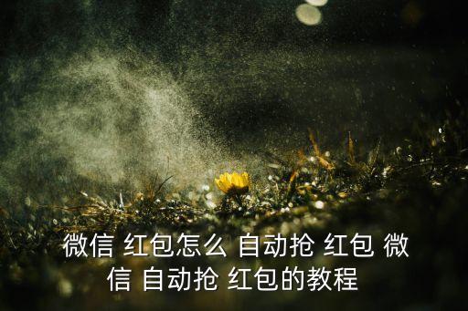 微信搶紅包怎么自動搶,微信紅包須知道這些!