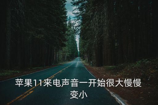  蘋果11來電聲音一開始很大慢慢 變小