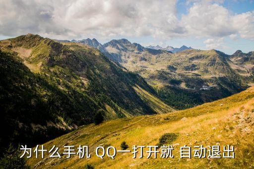 為什么手機(jī) QQ一打開就 自動退出