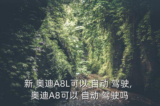 奧迪a8自動(dòng)駕駛信號(hào)燈,全新奧迪a8如何關(guān)閉日間行車(chē)燈