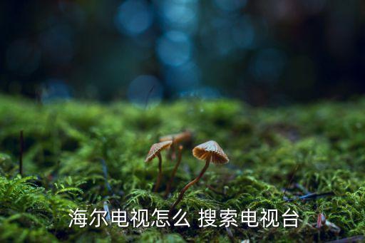  海爾電視怎么 搜索電視臺