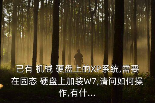 已有 機(jī)械 硬盤上的XP系統(tǒng),需要在固態(tài) 硬盤上加裝W7,請(qǐng)問(wèn)如何操作,有什...