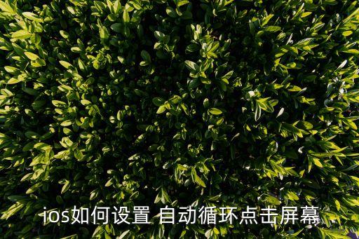  ios如何設(shè)置 自動循環(huán)點擊屏幕