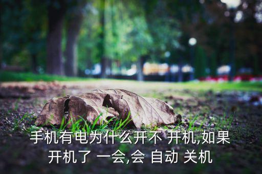  手機(jī)有電為什么開不 開機(jī),如果 開機(jī)了 一會(huì),會(huì) 自動(dòng) 關(guān)機(jī)