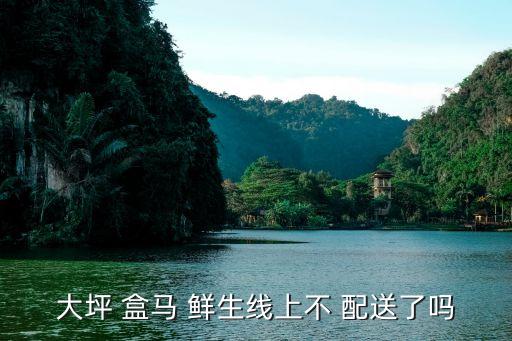 盒馬鮮生自動配送線,盒馬鮮生:線上線下高度融合的零售模式