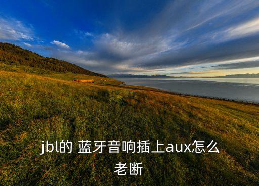  jbl的 藍牙音響插上aux怎么老斷