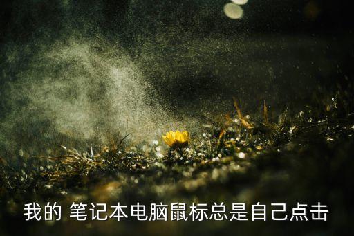 筆記本電腦光標(biāo)自動,電腦打字輸入法鼠標(biāo)跳來跳去怎么辦?
