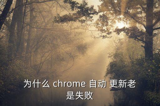 chrome無法自動更新到最新版本