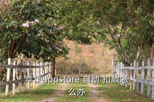applestore自動扣款