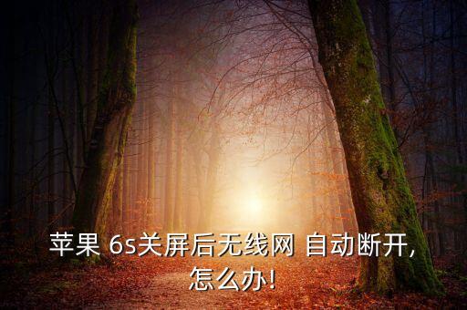 蘋果 6s關(guān)屏后無線網(wǎng) 自動斷開,怎么辦!