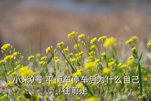小米平衡車自動行駛,自駕平衡汽車環(huán)保節(jié)能又環(huán)保