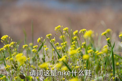 回到未來耐克自動(dòng)鞋帶