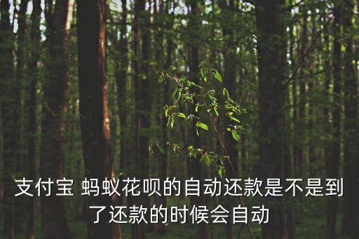 支付寶 螞蟻花唄的自動還款是不是到了還款的時候會自動
