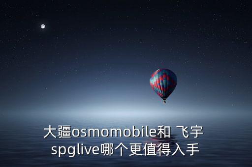 飛宇spg自動關閉