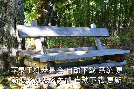 蘋果手機(jī)老是會 自動下載 系統(tǒng) 更新怎么辦怎么關(guān)掉 自動下載 更新