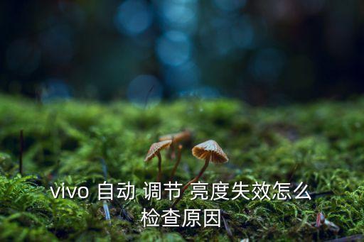 vivo 自動 調(diào)節(jié) 亮度失效怎么檢查原因