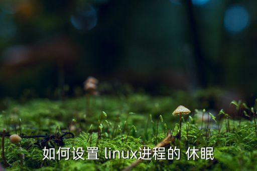 如何設置 linux進程的 休眠