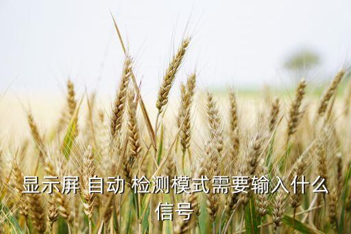 自動檢測顯示器分辨率