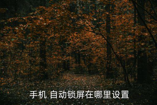  手機(jī) 自動(dòng)鎖屏在哪里設(shè)置