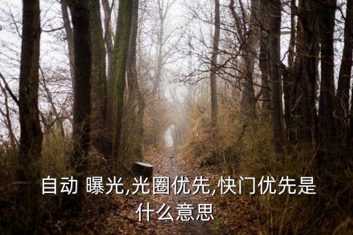  自動(dòng) 曝光,光圈優(yōu)先,快門(mén)優(yōu)先是什么意思