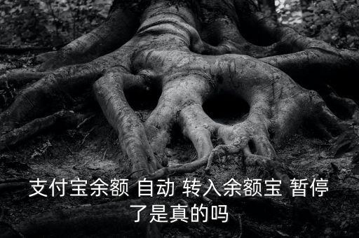 支付寶余額 自動 轉(zhuǎn)入余額寶 暫停了是真的嗎
