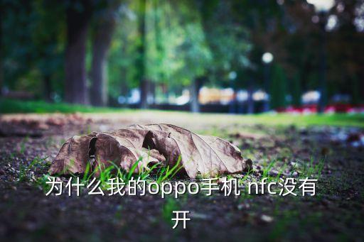 為什么我的oppo手機(jī) nfc沒有開