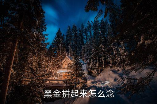 黑金自動(dòng)打怪,黑金道場(chǎng)是深澳地區(qū)第一個(gè)被主角挑戰(zhàn)的道場(chǎng)