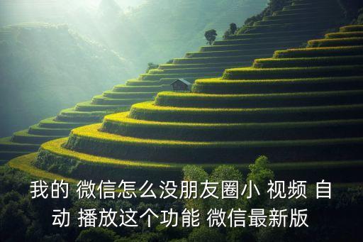 我的 微信怎么沒朋友圈小 視頻 自動 播放這個功能 微信最新版