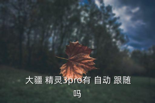 大疆精靈4 自動(dòng)跟隨,大疆精靈3系列擁有g(shù)ps智能跟隨功能