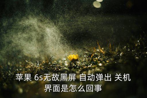 6s自動出現(xiàn)滑動來關(guān)機(jī),蘋果手機(jī)一直開機(jī)關(guān)機(jī)三種原因