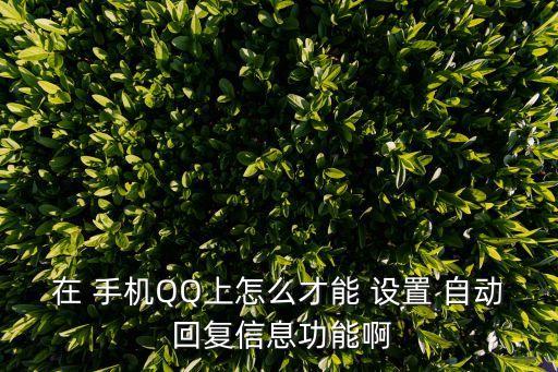 如何設(shè)置手機(jī)自動回復(fù)短信功能嗎,如何設(shè)置自動回復(fù)?