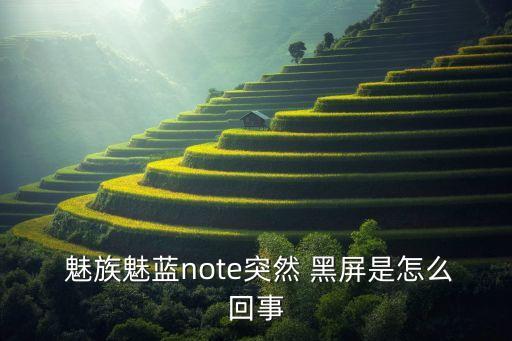  魅族魅藍note突然 黑屏是怎么回事