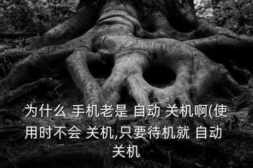 手機(jī)放著不用自動(dòng)關(guān)機(jī),3月份第一輪擁車(chē)證標(biāo)價(jià)全面上揚(yáng)