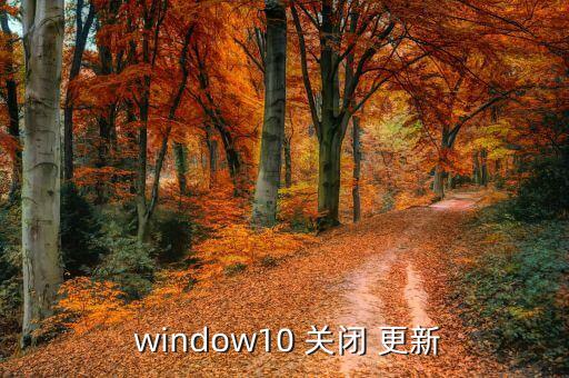  window10 關(guān)閉 更新