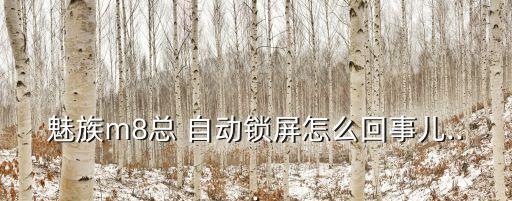 魅族m8總 自動(dòng)鎖屏怎么回事兒...