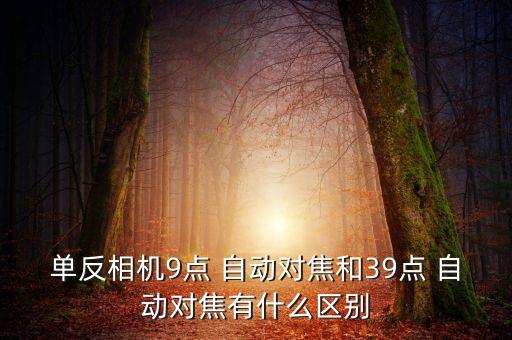 單反相機(jī)9點(diǎn) 自動(dòng)對(duì)焦和39點(diǎn) 自動(dòng)對(duì)焦有什么區(qū)別