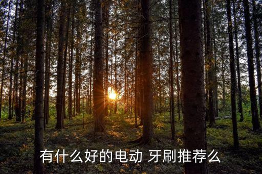 哪里有全自動(dòng)牙刷,電動(dòng)牙刷使用時(shí)小心拔出牙齒卡喉嚨