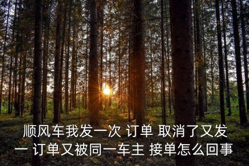  順風(fēng)車我發(fā)一次 訂單 取消了又發(fā)一 訂單又被同一車主 接單怎么回事