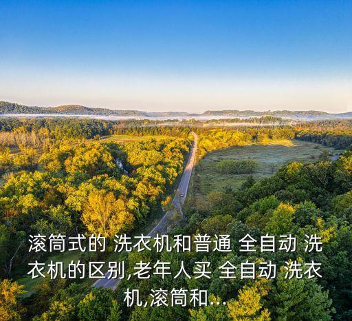 滾桶式全自動(dòng)洗衣機(jī),這些洗衣機(jī)你需要的服務(wù)