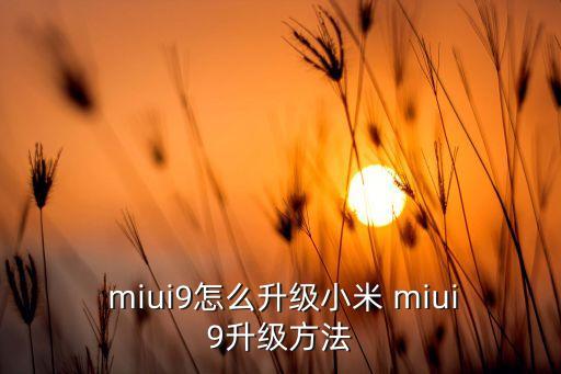 miui9取消自動(dòng)更新,小米手機(jī)怎么打開(kāi)自動(dòng)更新系統(tǒng)?